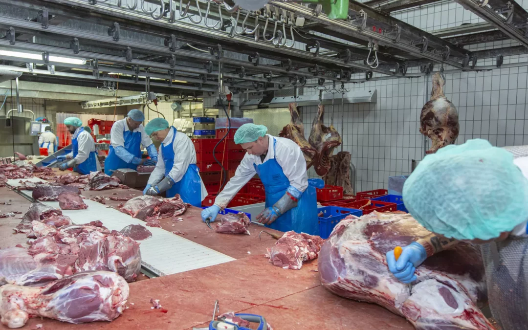 Trouvez du personnel de boucherie qualifié à Luxembourg !